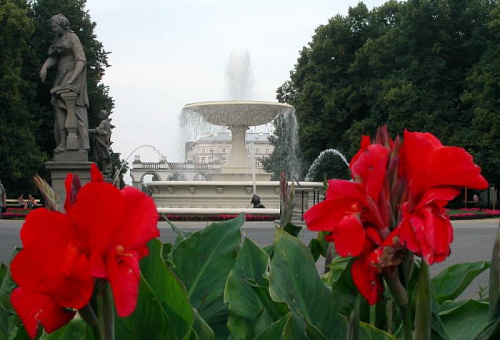 fontanna w Ogrodzie Saskim