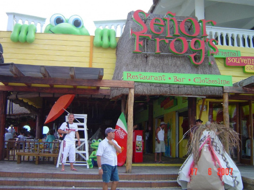 Playa del Carmen Senior Frog