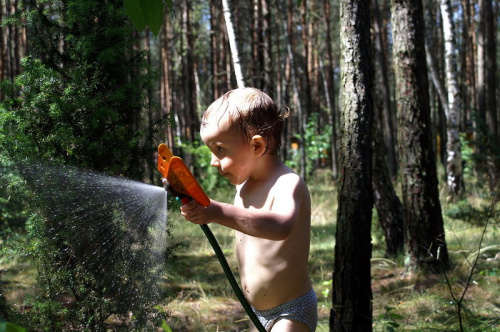 podlewanie lasu #dzieci