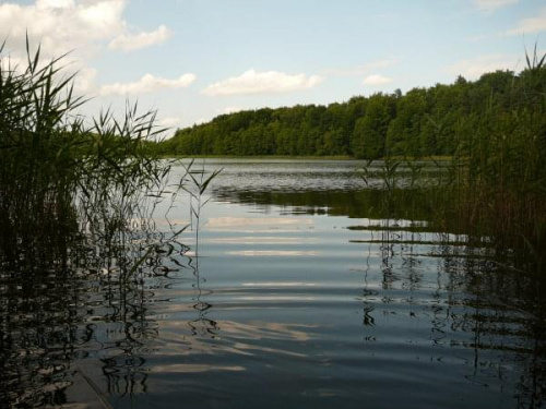 Jezioro otoczone zielenią i z falującą wodą