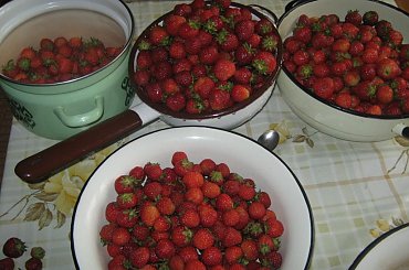 Truskawki;0 #truskawki #owoce