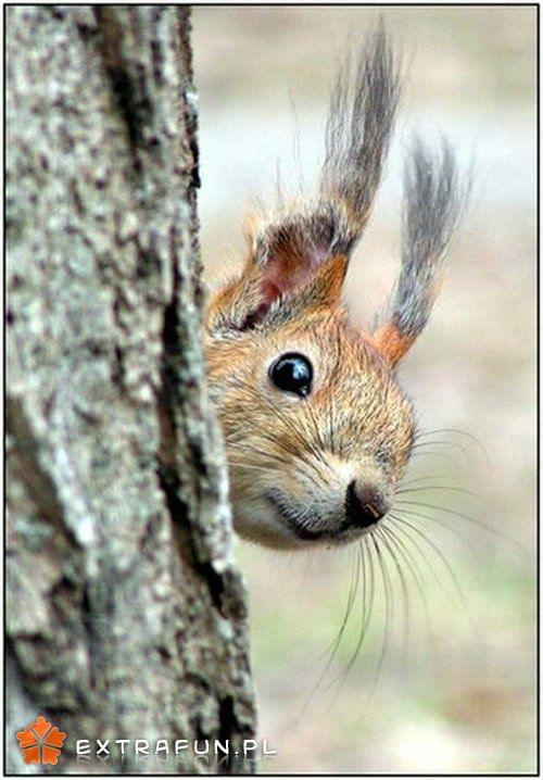 www.extrafun.pl #extrafun