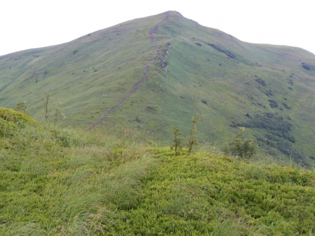 #bieszczady