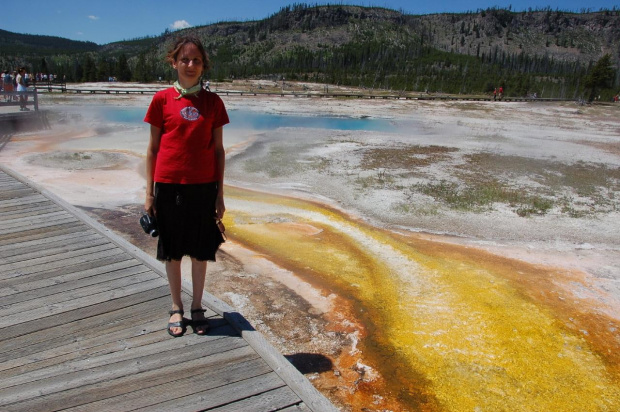 w parku Yellowstone