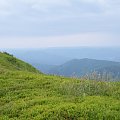 #bieszczady