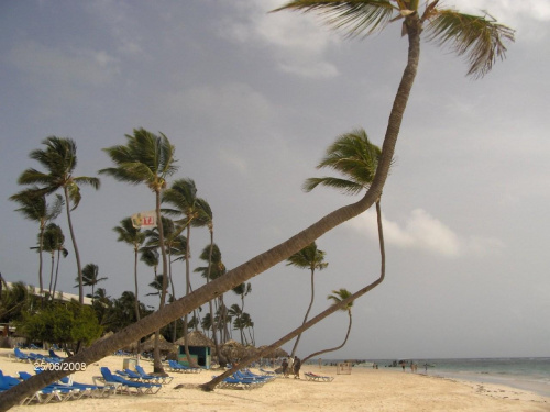 plaża w LTI ma najładniej wygięte palmy:)