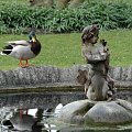 Kaczorek #fontanna #KewGardens #kaczka #kaczor #ptak