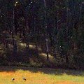 żurawie szare, okolice Lęborka #ptaki #żurawie