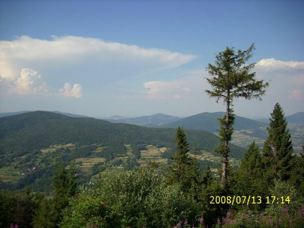 Widok z Lubonia