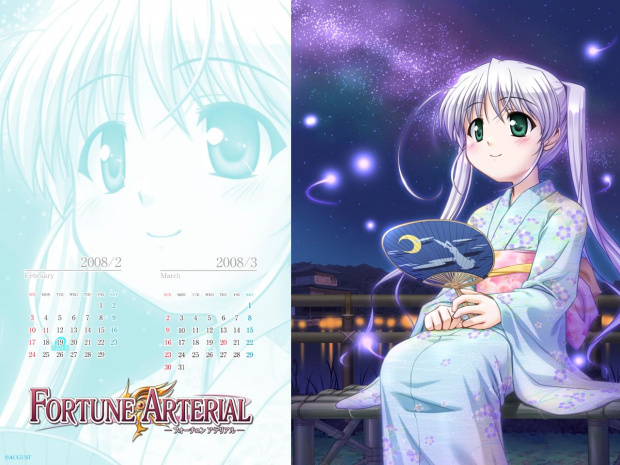 Fortune Arterial