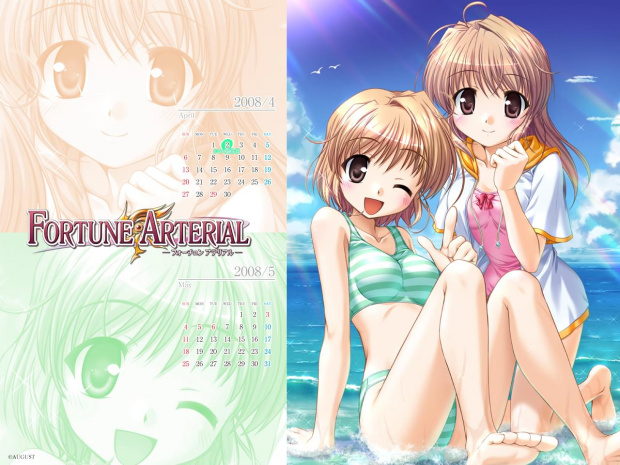 Fortune Arterial