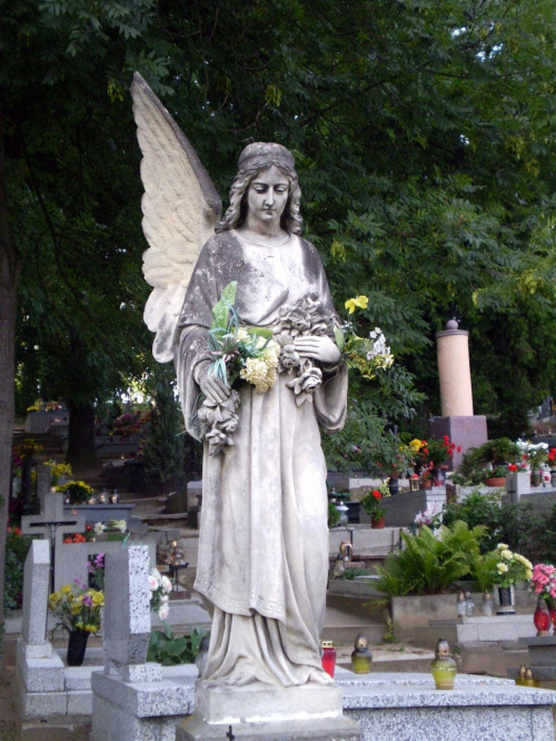 Na cmentarzu w Dolsku ... brat pstrykał .