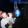 Krynica Morska 2008-Mali bokserzy
