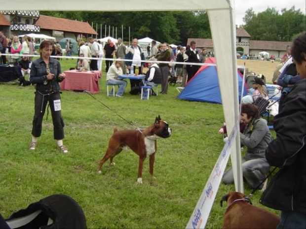 Wystawa psów w Wałbrzychu 2005 r.