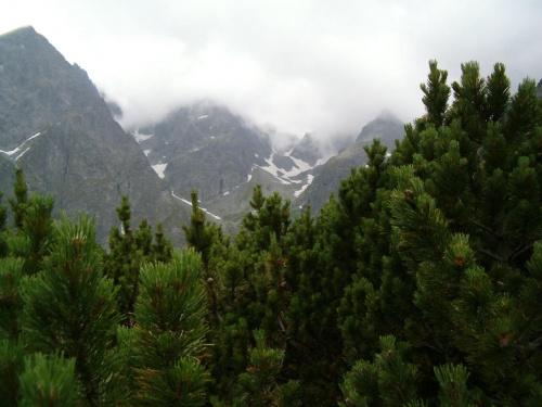 chmury schodzące w kotlinę Zielonego Stawu #Tatry #góry