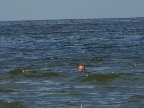 Krynica Morska 2008-Michu też zalicza morze co by nie było :Pgdzieś w oddali ;P