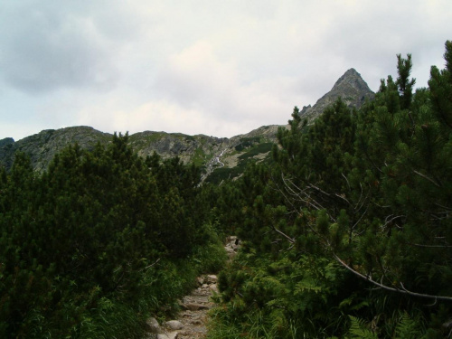 próg Doliny Hińczowej #Tatry #góry