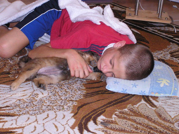 Psotka - ( suczka 2 m-ce)
17.07.2008 #piesek #szczeniak #suczka #spacer #zwierzęta #NasiUlubieńcy #PrzyjacielCzłowieka #OpiekaNadZwierzętami