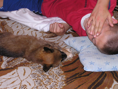 Psotka - ( suczka 2 m-ce)
17.07.2008 #piesek #szczeniak #suczka #spacer #zwierzęta #NasiUlubieńcy #PrzyjacielCzłowieka #OpiekaNadZwierzętami