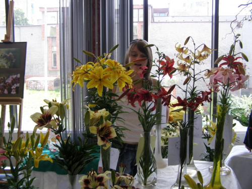 #lilia #lilie #kwiaty #wystawa #Rybnik