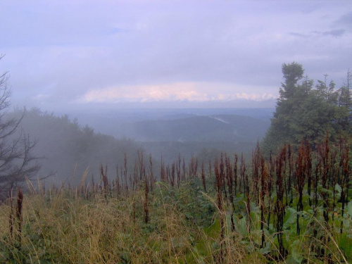 Bieszczady po burzy...