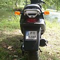 Yamaha Rex