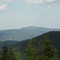 Mogielica z Czoła Turbacza #góry #gorce