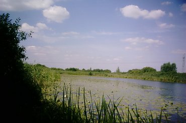 Zbydnow Zaleszany, Trzy Jeziora #StalowaWola #Ueziórko #NowaDęba