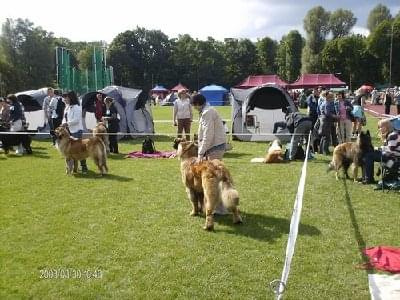 #leonberger #AptekaNatury