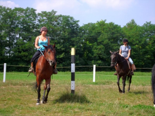 Zarogów 27.08.2008