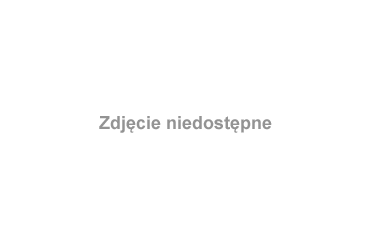 #KJSMielec2008