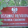 Nad Jeziorem Pierzchalskim - tablica przed wejściem do rezerwatu "Ostoja Bobrów na Rzece Pasłęce"