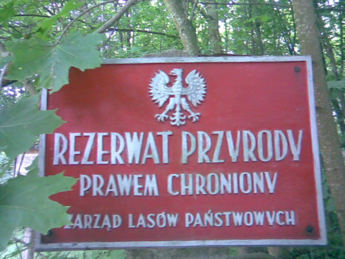 Nad Jeziorem Pierzchalskim - tablica przed wejściem do rezerwatu "Ostoja Bobrów na Rzece Pasłęce"
