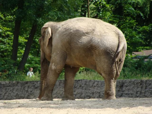 Nasze wszystkie dzieci i wnuki w łódzkim zoo