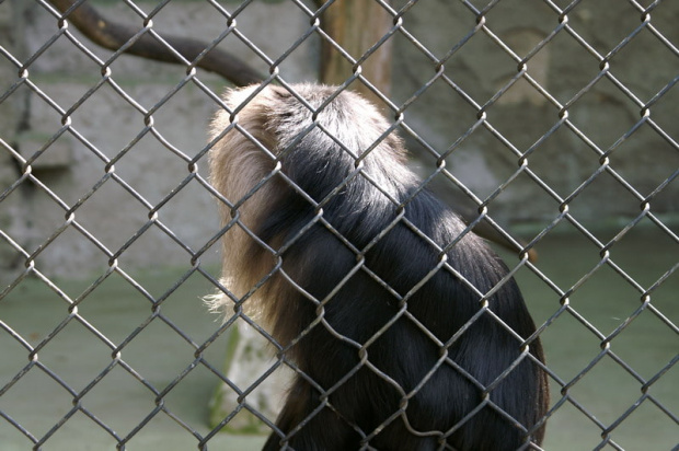 zaprosiłem 3 dzieci i mamę-ciocię do ZOO ale była sjesta zwierzęca i mało było szalonych zwierząt widać :) #ZOO