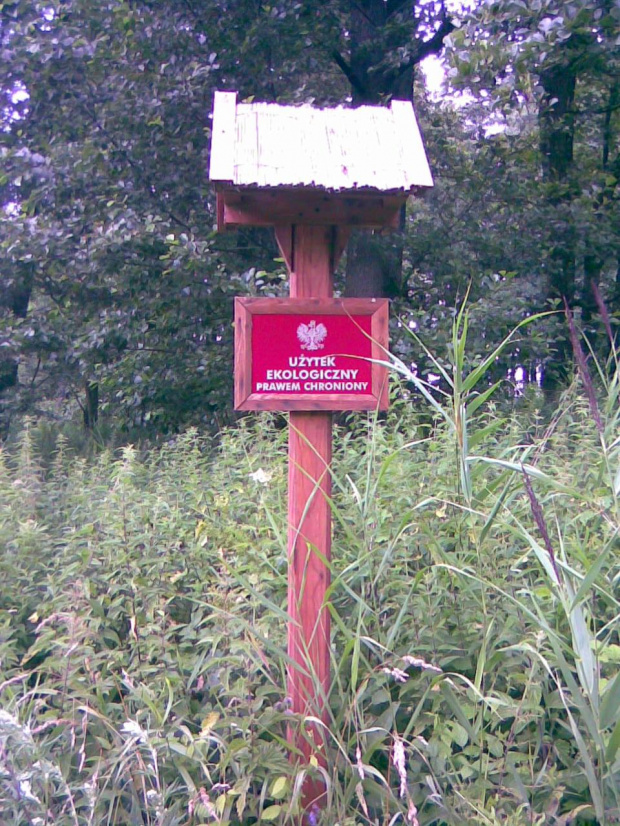 Park Krajobrazowu Wysoczyzny Elbląskiej -Użytek Ekologiczny w Okolicach Świętego Kamienia