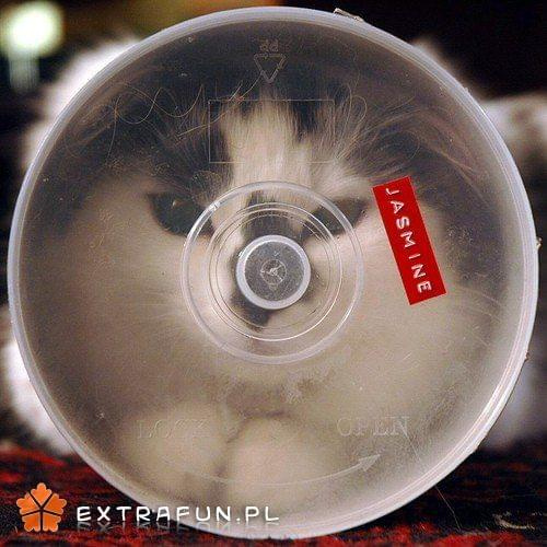 www.extrafun.pl #extrafun