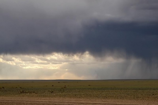 Krótkotrwałe ulewy na Gobi nie są niczym niezwykłym #mongolia #gobi