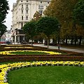 STOLYCA