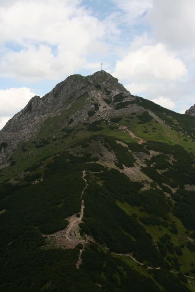 GIEWONT - KASPROWY