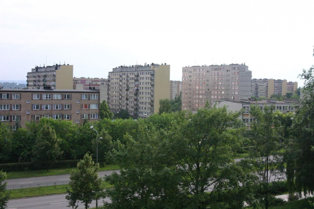 #Miasto #bloki #budynki #drzewa
