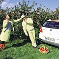 Volkswagen Polo IV Fun (2001-2005) #Auto #Samochód #Samochod #Volkswagen #Polo #Fun #hatchback