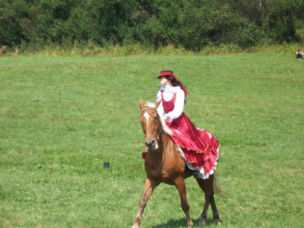 Moje zmaganie się z konikiem, ale wyszło :D #ParadaHistorycznaWKrempnej #konie #Krempna