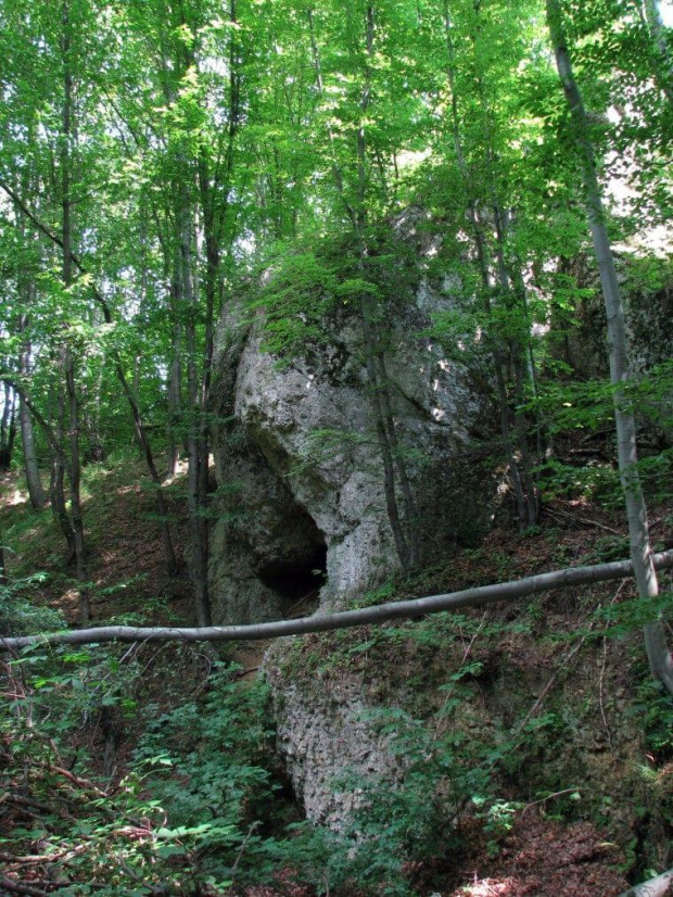 W drodze do Doliny Będkowskiej.