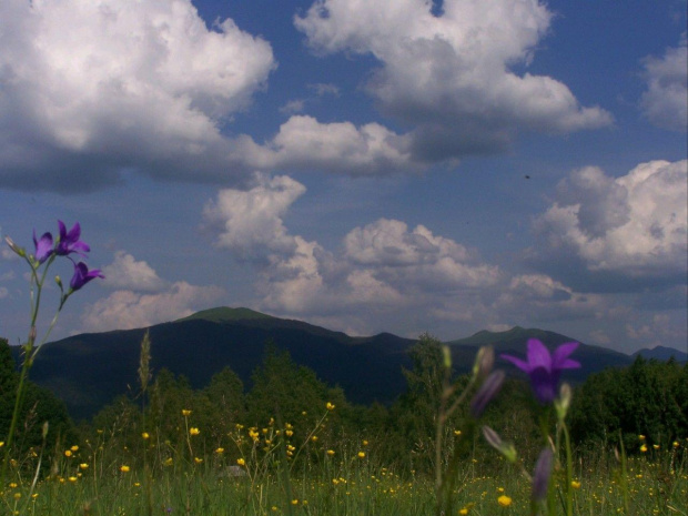 #bieszczady #połoniny #przysłup