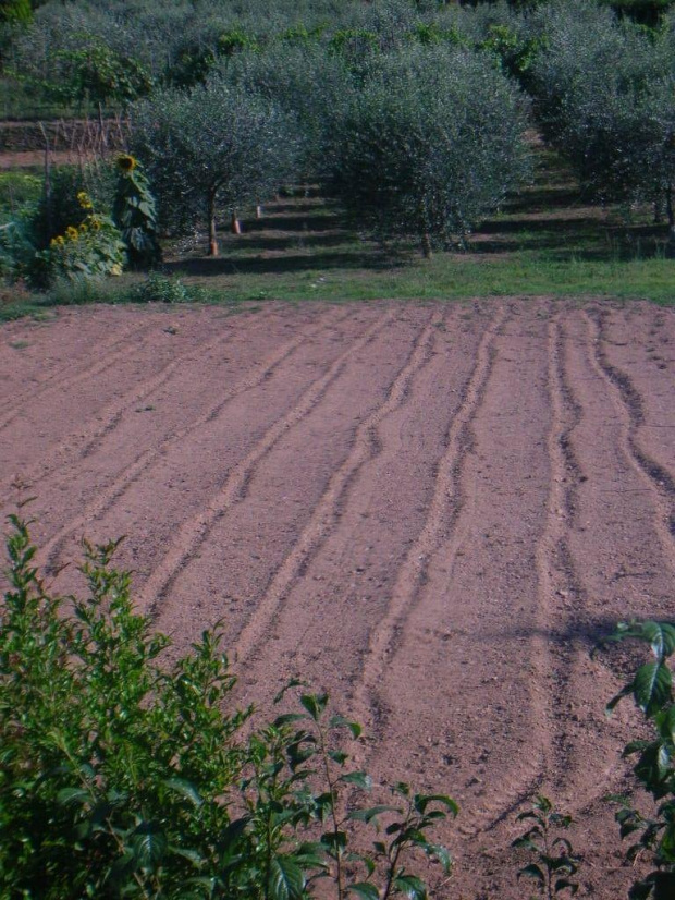 Bella Toscana - żegnaj, nienawidzę cię!!