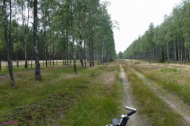 Puszcza Piska #PuszczaPiska #Rower #Remes #Mazury