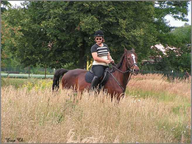 Kajes i Cykada