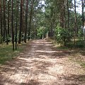 fajnie tam bylo... moglabym tu mieszkac :) slicznie