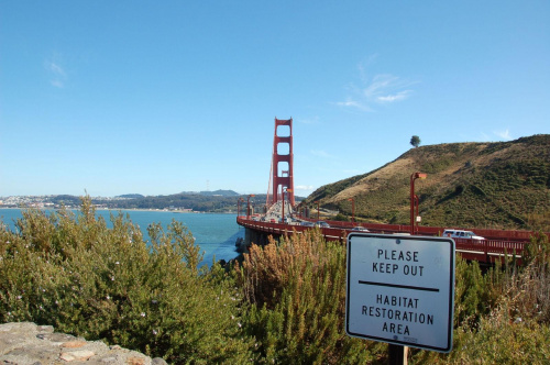Golden Gate na wprost, San Francisco - Kalifornia #usa #wycieczka
